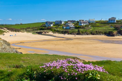 Treyarnon bay cottages dog friendly hot sale